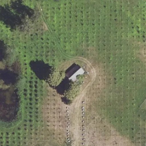 Vaizdas iš viršaus: Dusetų kel. 1, Kelpšiškės