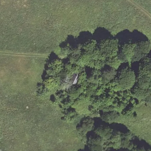 Vaizdas iš viršaus: Ąžuolo g. 29, Stelmužė