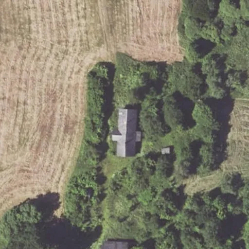 Vaizdas iš viršaus: Tyliūniškės g. 2, Tyliūniškė