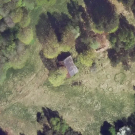 Vaizdas iš viršaus: Senųjų Baibių g. 8A, Baibiai