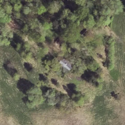 Vaizdas iš viršaus: Beržų g. 35, Raistiniškės