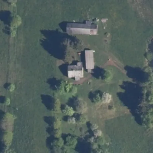 Vaizdas iš viršaus: Beržyno g. 20, Petrališkė
