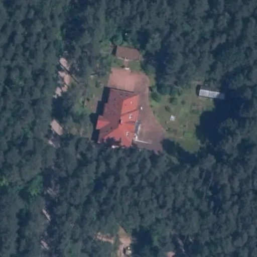 Vaizdas iš viršaus: Pušų g. 31, Juodšiliai