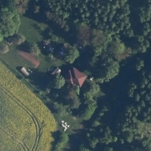 Vaizdas iš viršaus: Liepų g. 53, Dainos