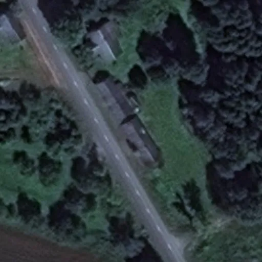Vaizdas iš viršaus: Subotnikų g. 51, Dieveniškės