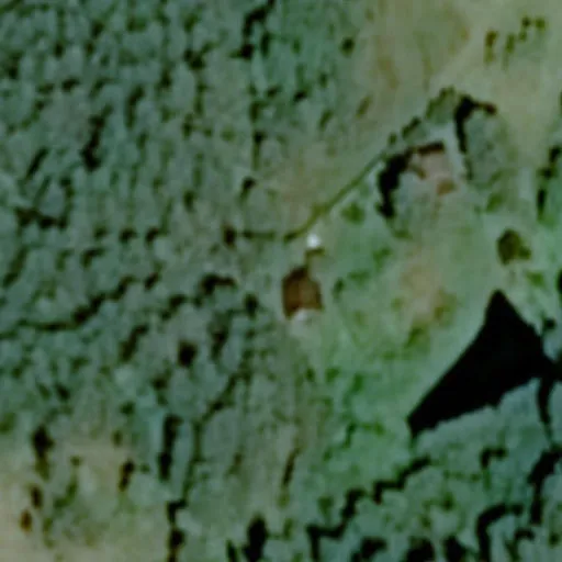 Vaizdas iš viršaus: Pamiškės g. 16, Bugieda
