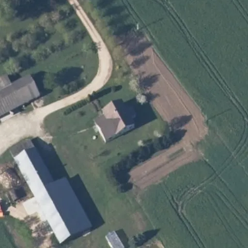 Vaizdas iš viršaus: Paupstalių g. 6, Žardiškiai