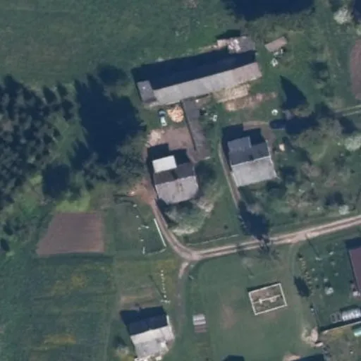 Vaizdas iš viršaus: Šermukšnių g. 26, Norkiškė