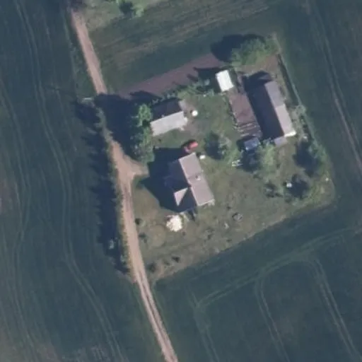 Vaizdas iš viršaus: Vyšnių g. 4, Skogalis