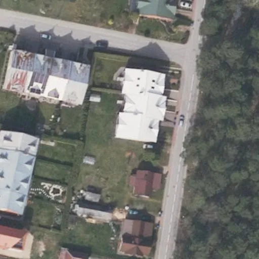 Vaizdas iš viršaus: Pušyno g. 41, Birštonas