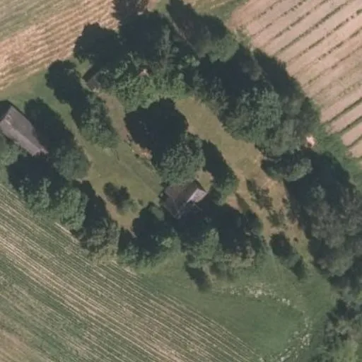 Vaizdas iš viršaus: Beržų g. 1A, Balandžiai