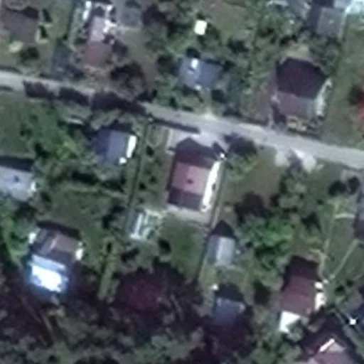 Vaizdas iš viršaus: Pušyno g. 49, Druskininkai