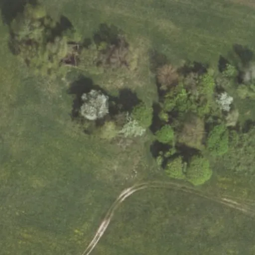 Vaizdas iš viršaus: Artojų g. 4, Medžionys