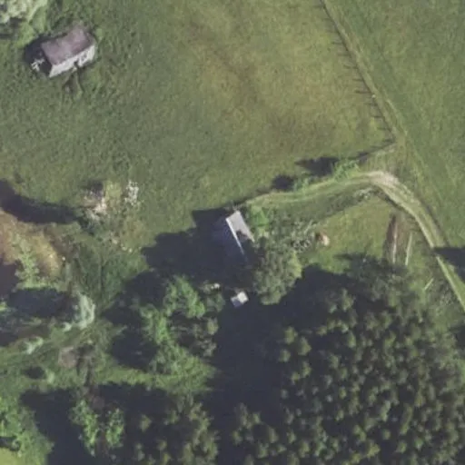 Vaizdas iš viršaus: Nagurkiškių g. 40, Nagurkiškiai