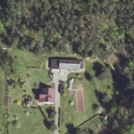Vaizdas iš viršaus: Rapsų g. 35, Daumantai