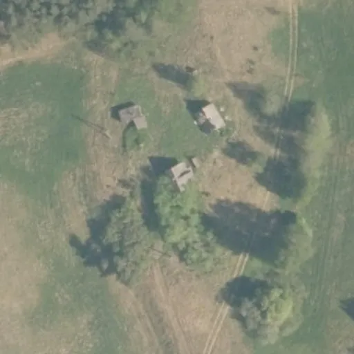 Vaizdas iš viršaus: Mokyklos g. 1, Šunelė