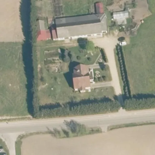 Vaizdas iš viršaus: Sodininkų g. 4, Struikai