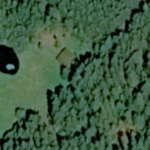 Vaizdas iš viršaus: Ančios g. 6, Guronys