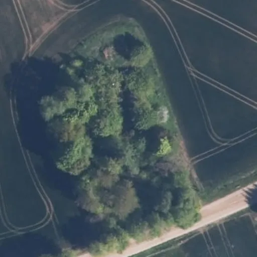 Vaizdas iš viršaus: Butkių g. 10, Paverpenis
