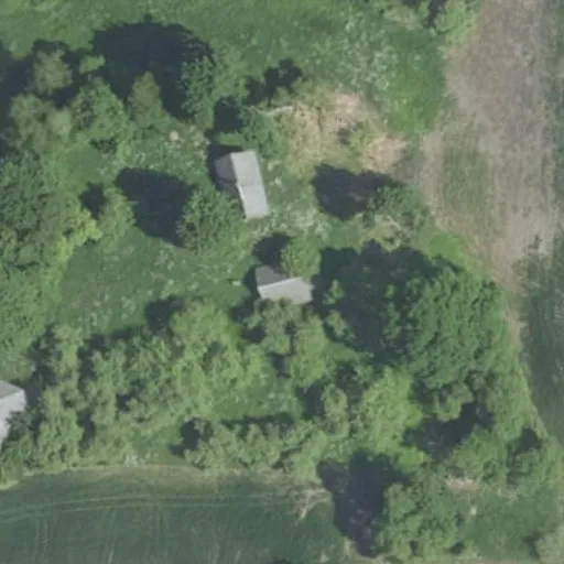 Vaizdas iš viršaus: Kazimierava 12