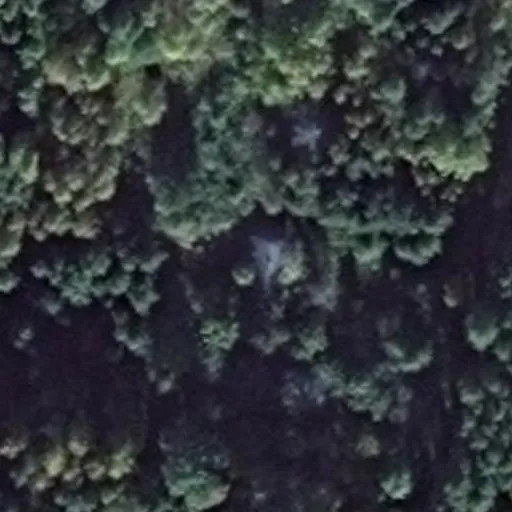Vaizdas iš viršaus: Miško g. 9A, Dainava