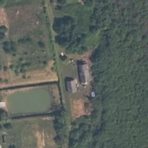 Vaizdas iš viršaus: Klevų g. 12, Pilviškiai