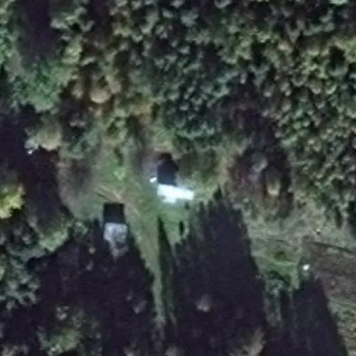 Vaizdas iš viršaus: Miško g. 1B, Dainava