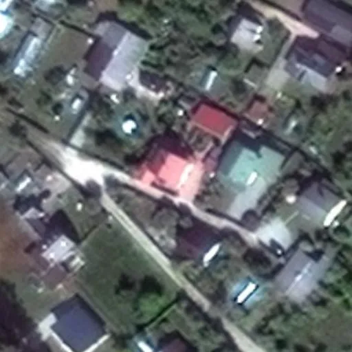 Vaizdas iš viršaus: Draugystės g. 20, Druskininkai