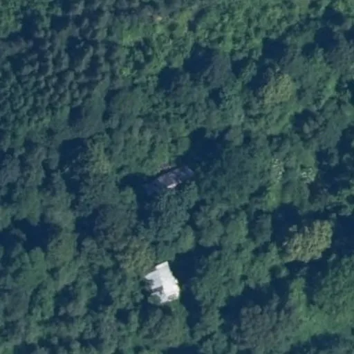 Vaizdas iš viršaus: Viesų g. 6A, Salkininkai