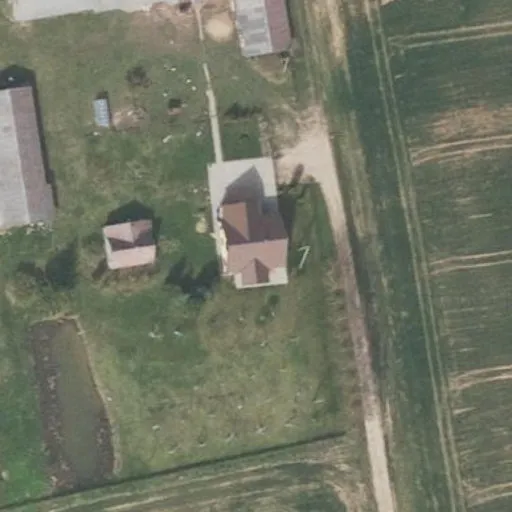 Vaizdas iš viršaus: Rasos g. 3, Dvylikiai