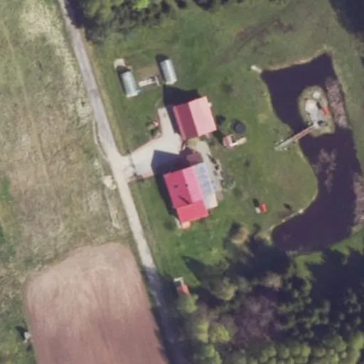 Vaizdas iš viršaus: Pušų g. 2, Algirdai