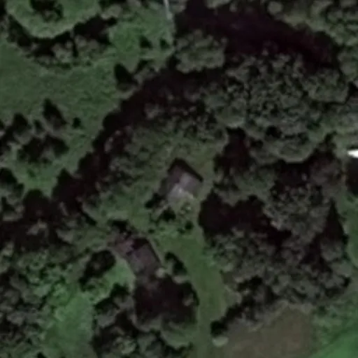 Vaizdas iš viršaus: Lankų g. 2, Gotlybiškiai