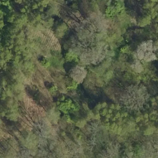 Vaizdas iš viršaus: Vyšnių g. 32, Dauginčiai