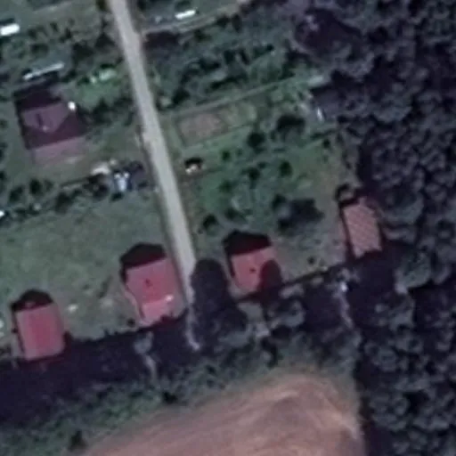 Vaizdas iš viršaus: Karalinos 2-oji g. 1, Karalina