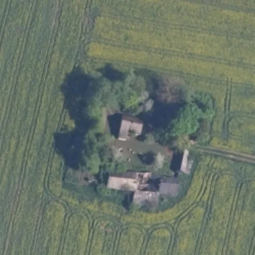 Vaizdas iš viršaus: Kybučių g. 29, Kybučiai