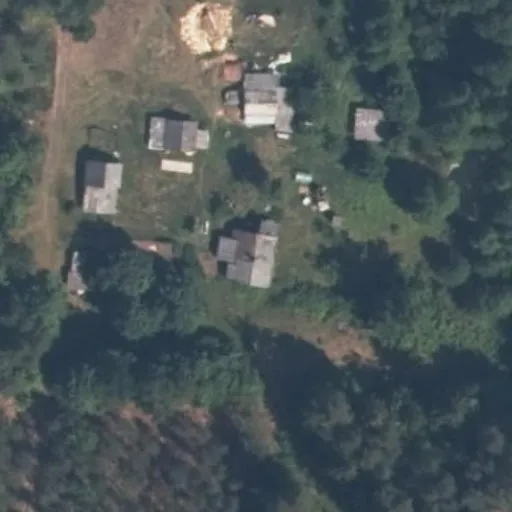 Vaizdas iš viršaus: Girios g. 2D, Agurkiškė
