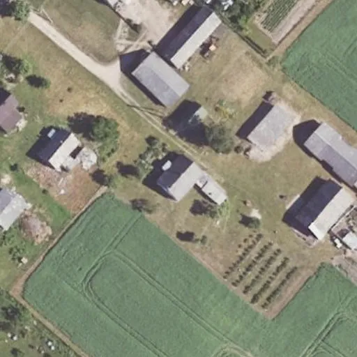 Vaizdas iš viršaus: Šniukonių g. 19, Niauduva