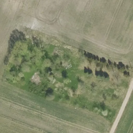 Vaizdas iš viršaus: Pievėnų g. 11, Balėnos