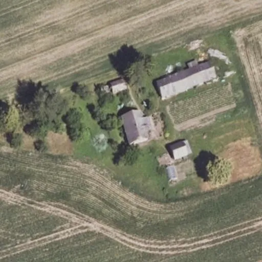 Vaizdas iš viršaus: Dvaro g. 44A, Meškalaukis