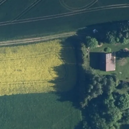 Vaizdas iš viršaus: Varkalės 6