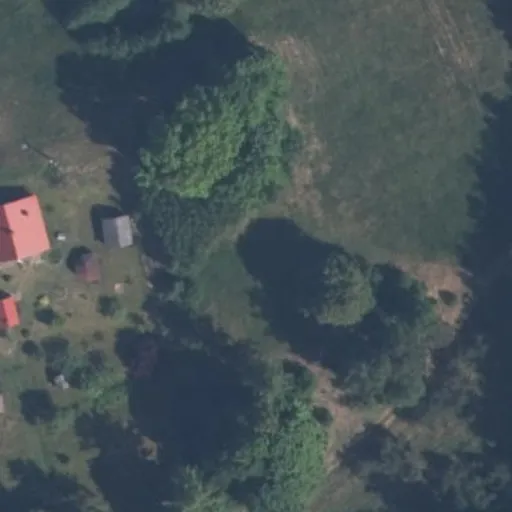 Vaizdas iš viršaus: Veršniai 5