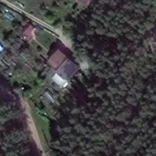 Vaizdas iš viršaus: Vieversių g. 9, Druskininkai