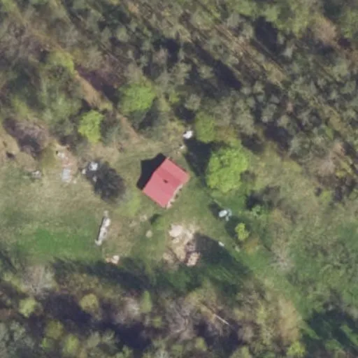 Vaizdas iš viršaus: Žuvintės g. 17, Knyzlaukis