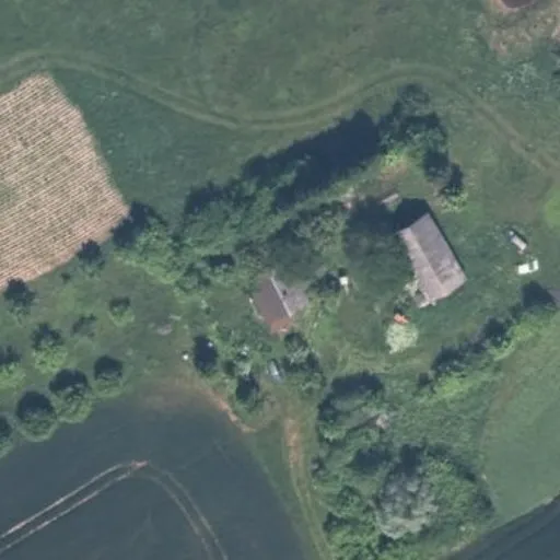 Vaizdas iš viršaus: Klevų g. 19, Laukinčiai