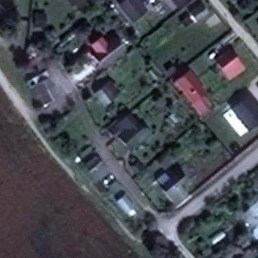 Vaizdas iš viršaus: Mėlynių g. 8, Šalčininkai