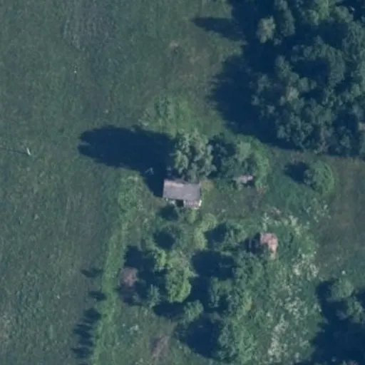 Vaizdas iš viršaus: Kaštonų g. 21, Dainavėlė