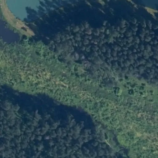 Vaizdas iš viršaus: Laičių g. 102, Daugirdiškės