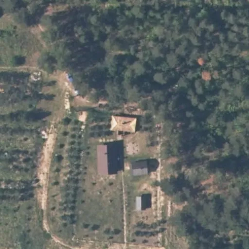Vaizdas iš viršaus: Beržų g. 9, Roliai