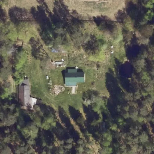 Vaizdas iš viršaus: Butėnų g. 46, Butėnai