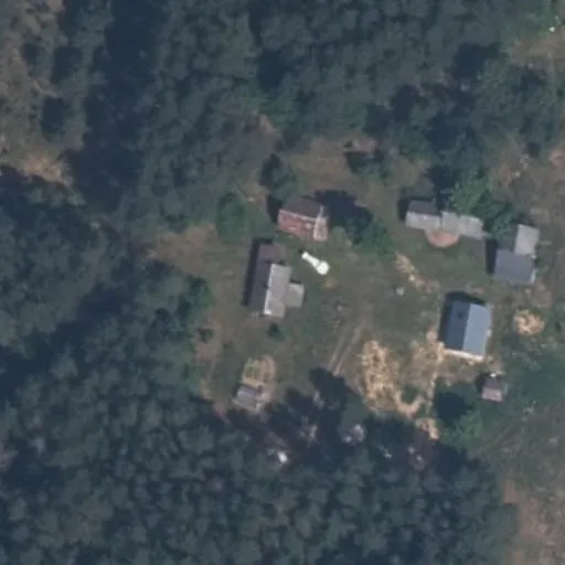 Vaizdas iš viršaus: Girios g. 4A, Agurkiškė